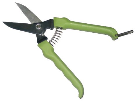 GREENGUARD GP 1073 DÜZ ÇİÇEK MAKASI