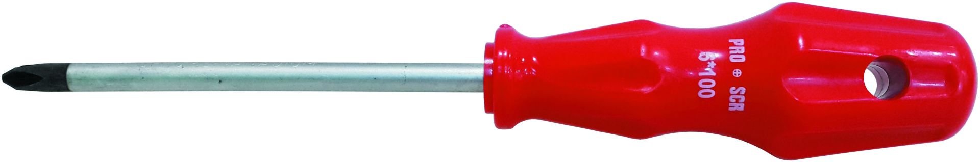 PROSCR SCR02581 - 6x100MM. YILDIZ UÇLU TORNAVİDA